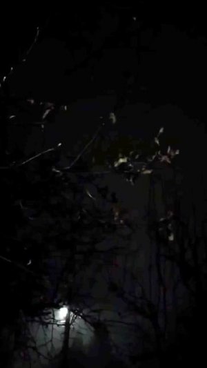 Россия украина война сегодня 2025. Ланцет в действии. Прилёт Искандера.