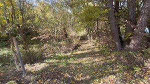 Video_20251027-141211