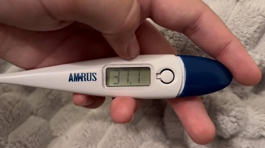 Луи заболел. Уроки с Луи смотреть онлайн