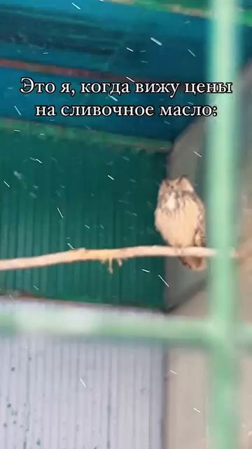 😳😳😳 смотреть онлайн