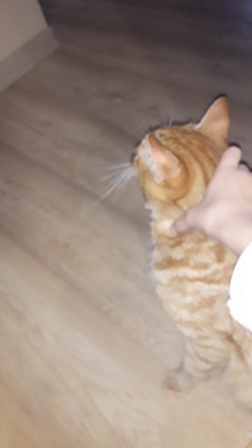 На каникулах