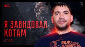 «Я ЗАВИДОВАЛ КОТАМ». СТАС.🟦 История ЖИЗНИ.