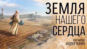 Мы ответственны за то, что на ней растёт. Протоиерей Андрей Ткачёв