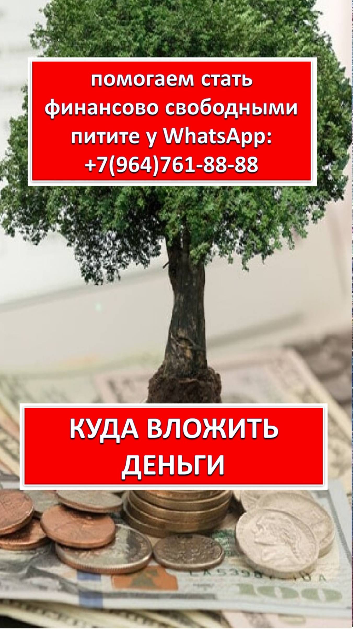 КУДА ВЛОЖИТЬ ДЕНЬГИ