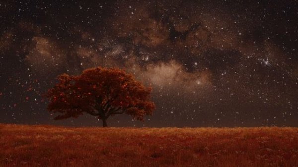 Tree of Wisdom ｜ Peaceful Ambient Music for Cosmic Peace & Moments of Clarity [Calm Mode： On]
