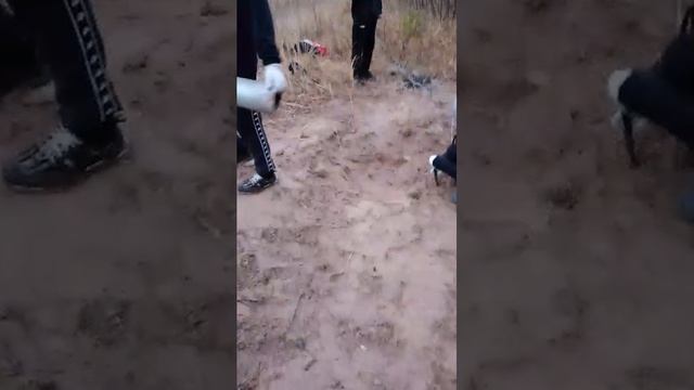 копаем землянку смотреть онлайн