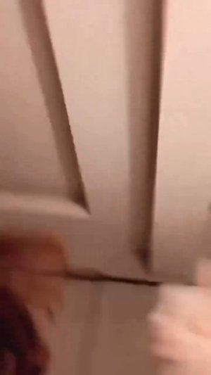 Приколы с котами часть 7