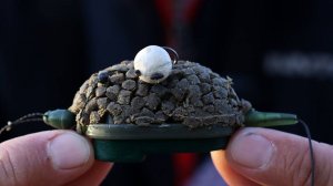 Рыбалка на карпа осенью с кормушкой флэт фидер, хороший клёв рыбы