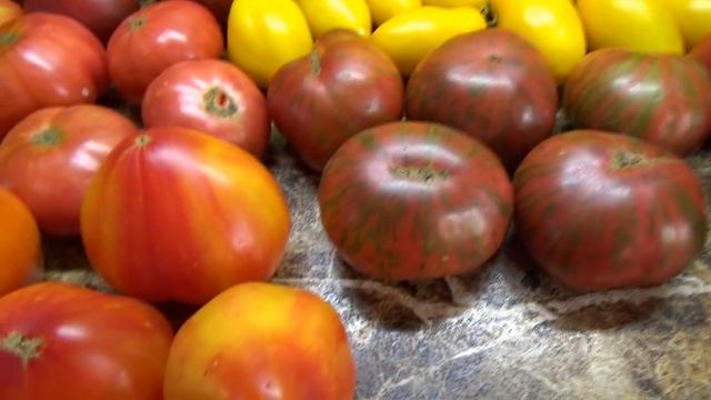 Томатный Гном Банановые пальчики. Подробный обзор и дегустация сорта. смотреть онлайн