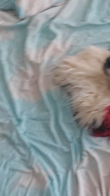 Twitch: EricMyval Поездка за головой смотреть онлайн