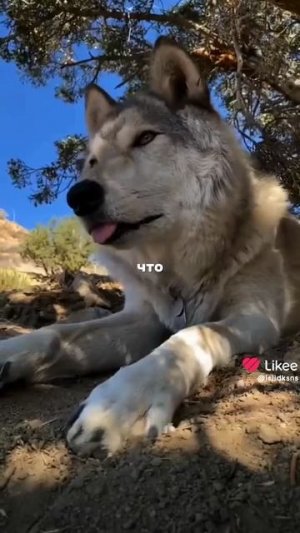 5 мифов о валков