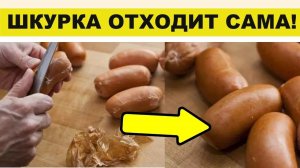 Хитрость, о которой не знают многие ХОЗЯЙКИ! Как очистить САРДЕЛЬКИ без ножа и нервов!