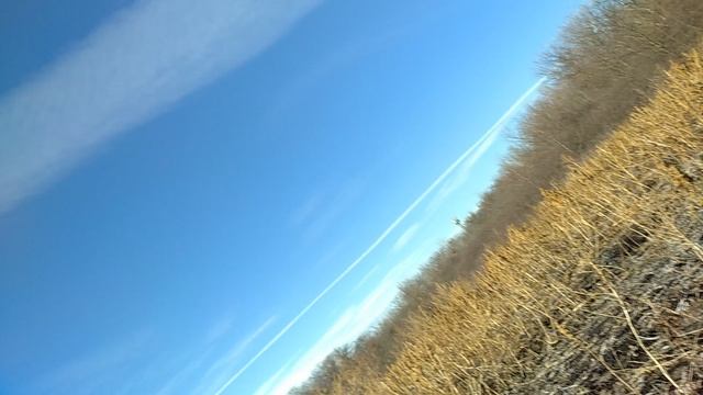 VID_20251027_113208.mp4 смотреть онлайн