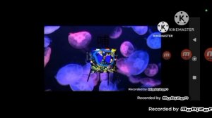 NUMBERBLOCKS big V50