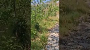 Геленджик. Восхождение на гору Олимп. 🙂😃😁🥳
