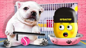 ПОПАЛ В ПИББЛ ТЮРЬМУ в ROBLOX!