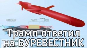 Трамп пообещал послать атомные подлодки к берегам России в ответ на испытания ракеты «Буревесник»