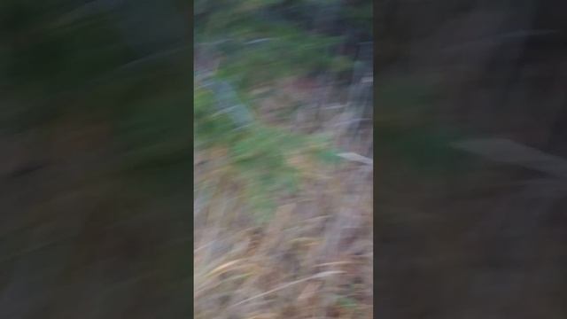 копаем землянку 1 день смотреть онлайн