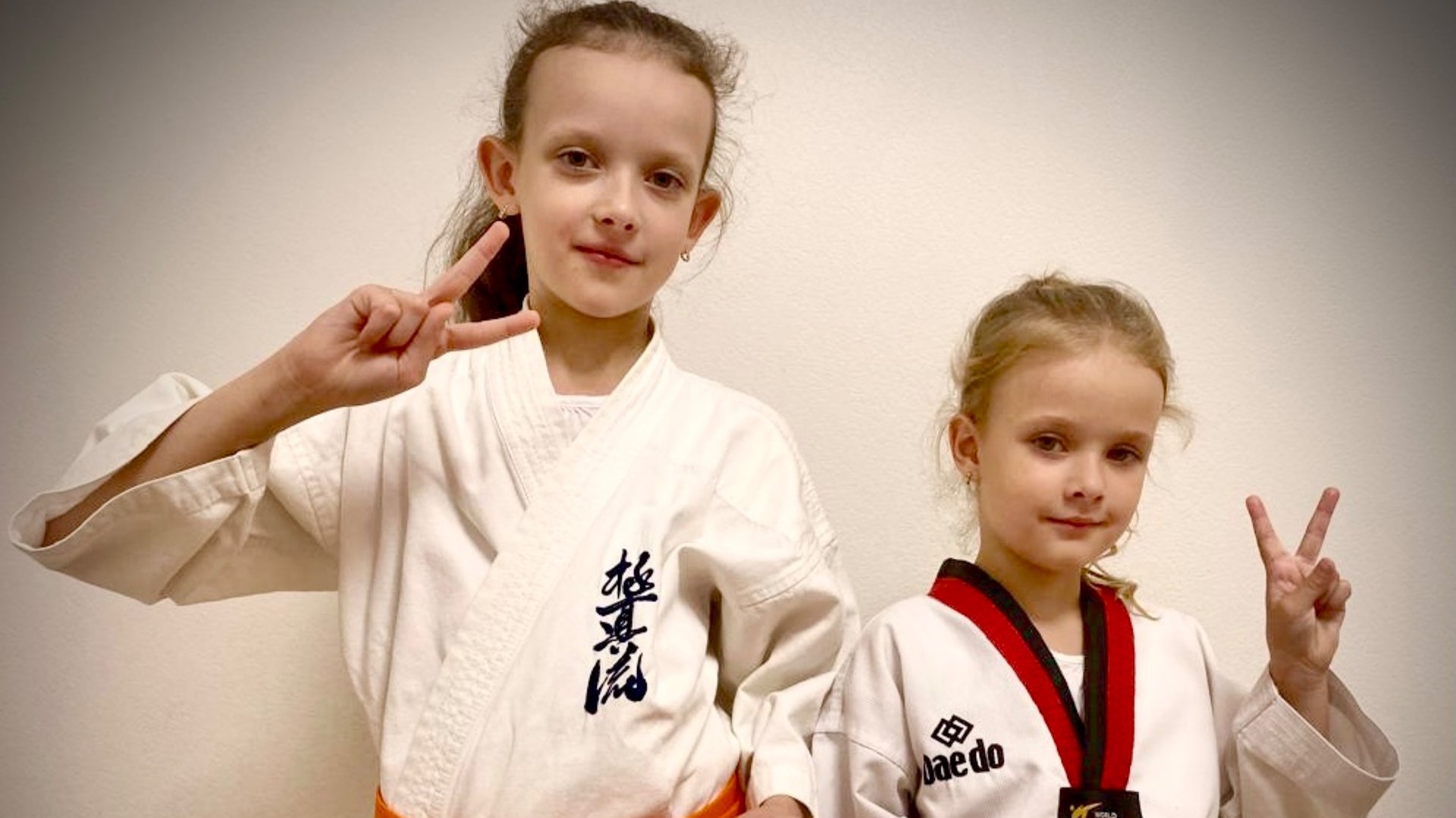 Kyokushin-Ryu vs Taekwondo wtf