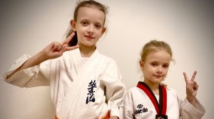 Kyokushin-Ryu vs Taekwondo wtf