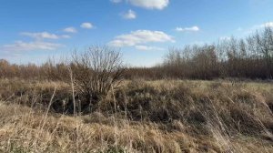 Баста, MONA, Три дня дождя, – «Луч солнца золотого»