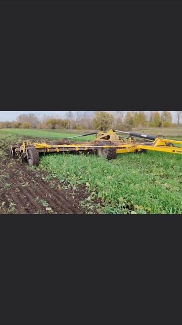 Мелко, но действенно с Bednar!!