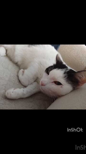 что такое пов??? смотреть онлайн