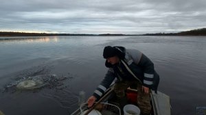 Осенняя рыбалка на продольники \ Начало есть