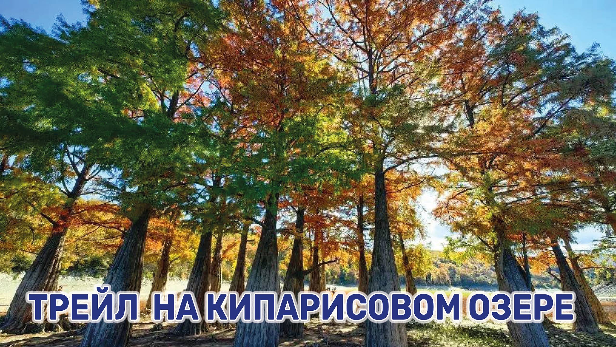 В Анапе на озере Сукко прошел ежегодный забег «Красные кипарисы» смотреть онлайн