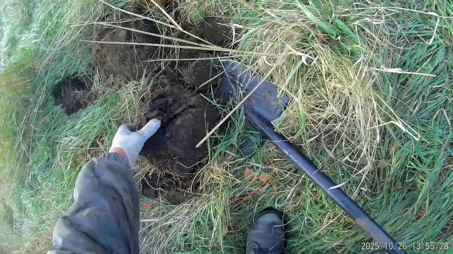 Minelab X-Terra PRO и Quest Q20 в заброшенной деревне в октябре 2025