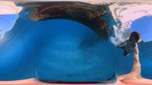 360 видео. Осмотр Oceanis 41.1 под водой.