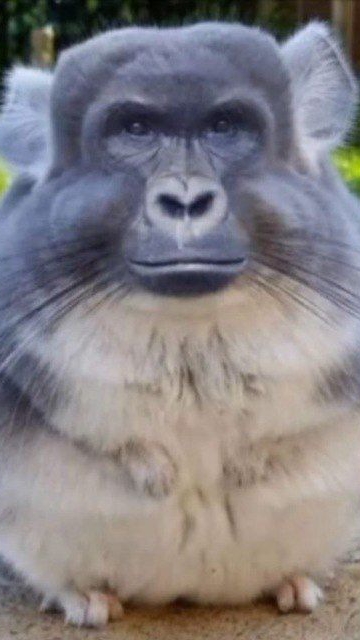 завтра видео обещаю