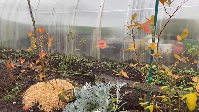 Обзор выходного дня 25-26 октября смотреть онлайн