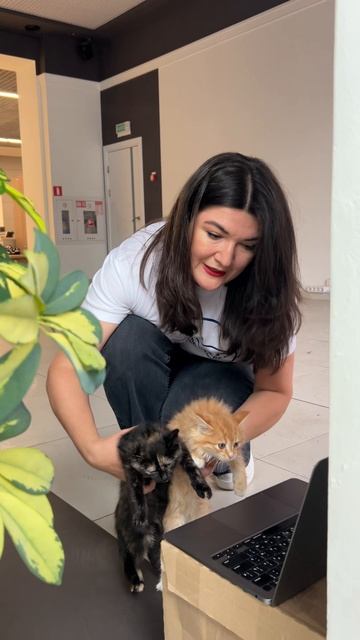 Теперь мы в центре🇧🇾 Новый автосалон electro-car.by смотреть онлайн