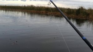 щука на Шапсуге 26.10.25.