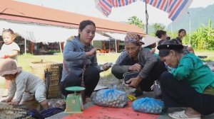 Сбор сладких апельсинов. Торговля на рынке. Готовлю ужин для семьи. Жизнь во Вьетнаме