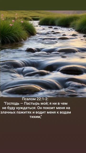 #Слово на 27.10 #библия #псалом смотреть онлайн