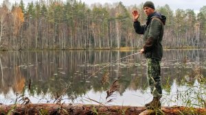 Рыбалка в Тайге. Поездка на Ведьмино Озеро. Окуни гнут удочки.