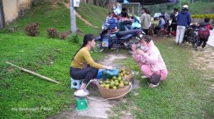 Сбор зелёных апельсинов для продажи на деревенском рынке. Веду хозяйство. Жизнь во Вьетнаме
