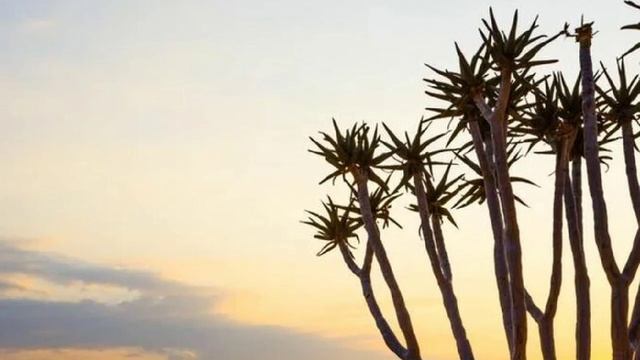 Вдали от цивилизации