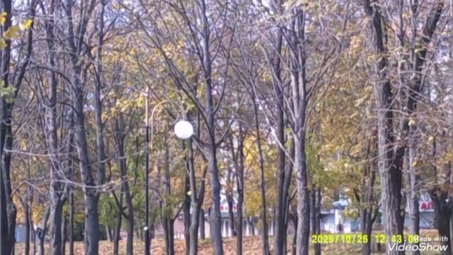 Мариуполь 🛥️ золотая осень 🍁,всюду стройка 🏗️🏢🏗️ продолжаю ремонт в своей квартире разрушенной. смотреть онлайн