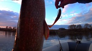 Хорошая щука на первом забросе! Рыбалка на джиг 2025 ! Рыбалка на Оке!