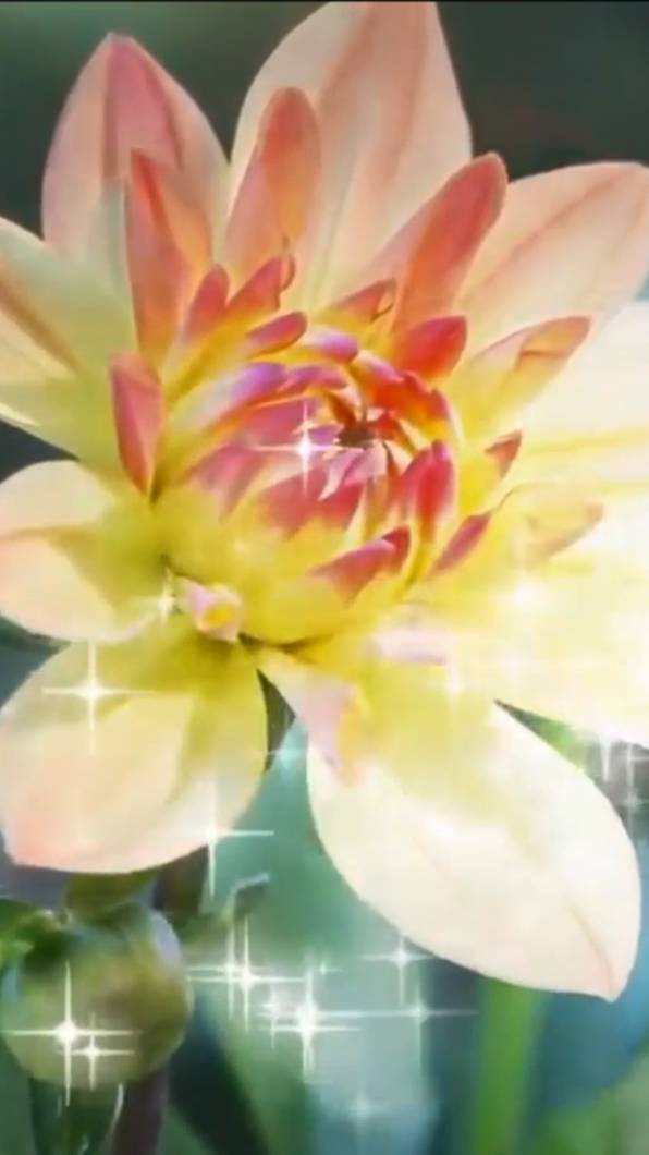 САМАЯ_НЕЖНАЯ_МУЗЫКА_ДЛЯ_ДУШИЭто_очень_красивая_бесподобная_музыка смотреть онлайн