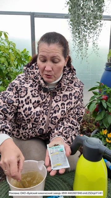 МНОГОЛЕТНИЙ ПЕРЕЦ, УХОД ОСЕНЬЮ на зимовку в квартирный огород смотреть онлайн