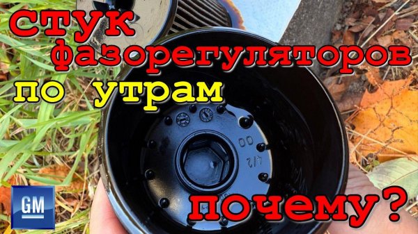 Почему стучат фазорегуляторы после длительного простоя автомобиля? Мойка деталей двигателя.