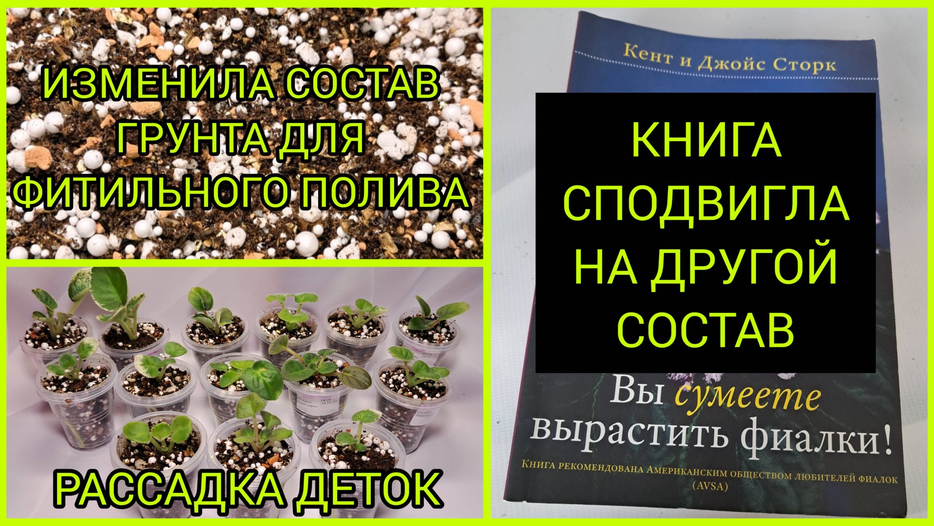 Грунт для фитильного полива. Книга сподвигла на новый состав. Рассадка деток фиалок. смотреть онлайн