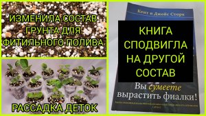 Грунт для фитильного полива. Книга сподвигла на новый состав. Рассадка деток фиалок.