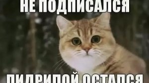 комменты посмотри это важно