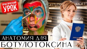 Анатомия для правильной работы с ботулотоксином. Практический урок.
