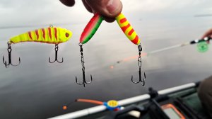 ЭТИ ПРИМАНКИ НЕ ОСТАВЯТ БЕЗ УЛОВА! Осенняя рыбалка на Судака и Берша. Октябрь 2025